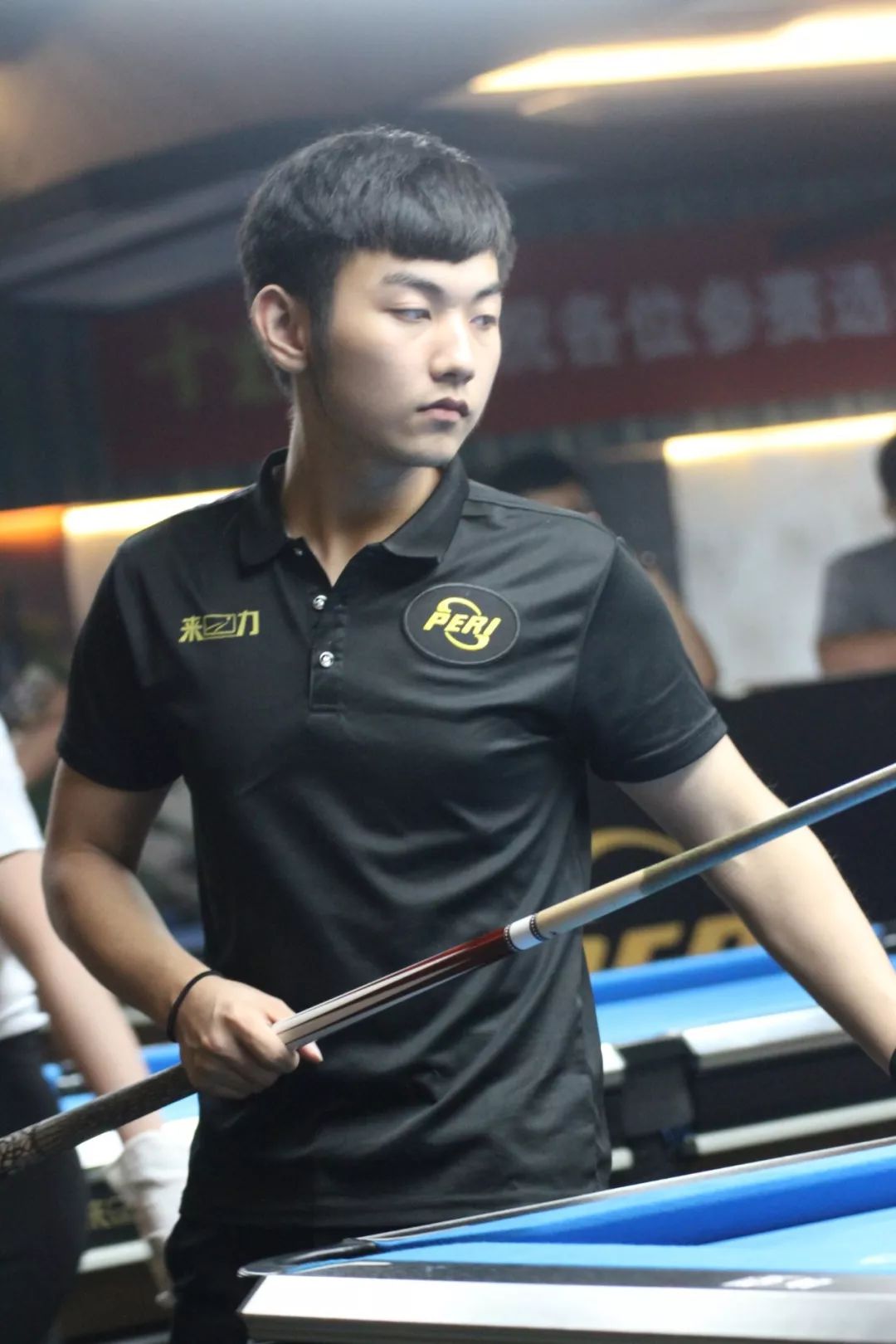 不仅展示了 不仅展示了