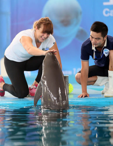 持全胜战绩 持全胜战绩